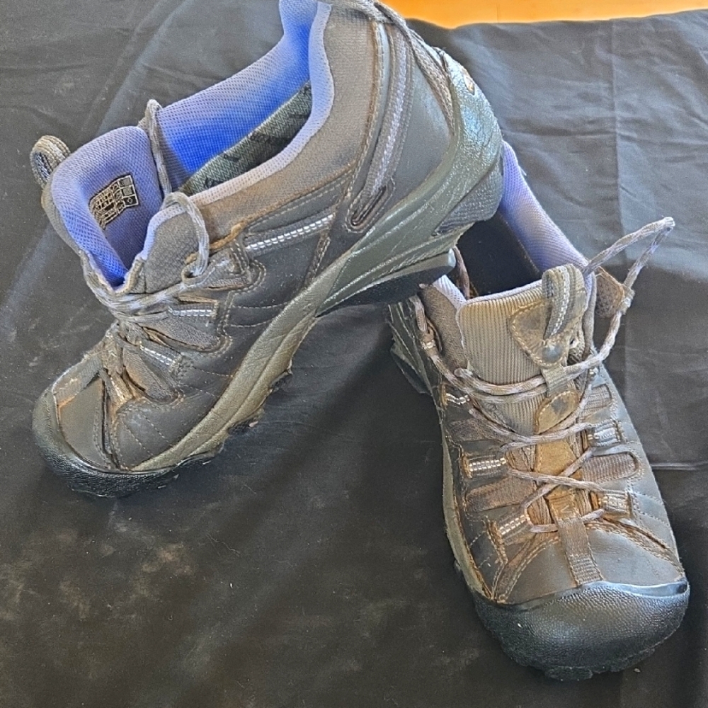 Gray and Blue Hiking Shoes
